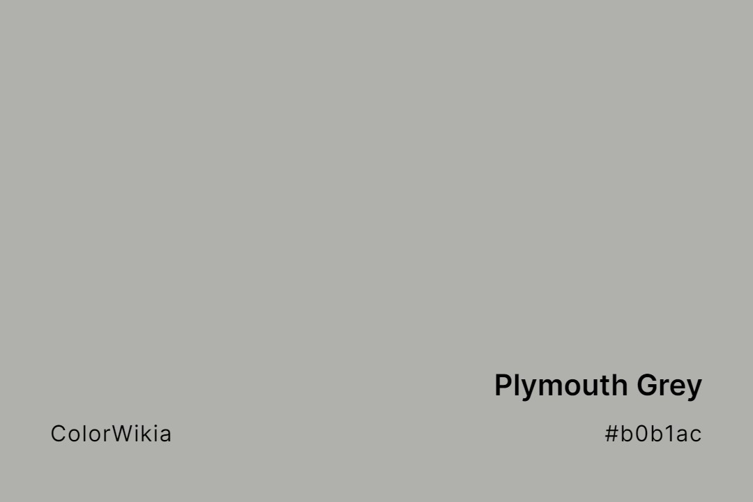 Plymouth Grey Color – #b0b1ac: Codes and Complete Breakdown
