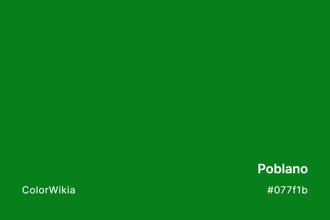 Poblano Color – #077f1b: Codes and Complete Breakdown