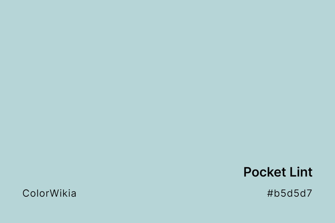 Pocket Lint Color – #b5d5d7: Codes and Complete Breakdown