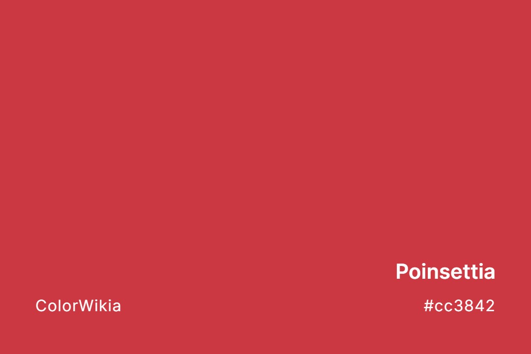 Poinsettia Color – #cc3842: Codes and Complete Breakdown