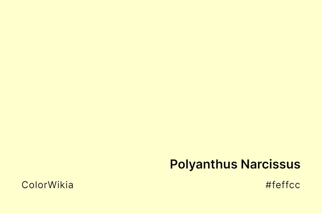 Polyanthus Narcissus Color – #feffcc: Codes and Complete Breakdown