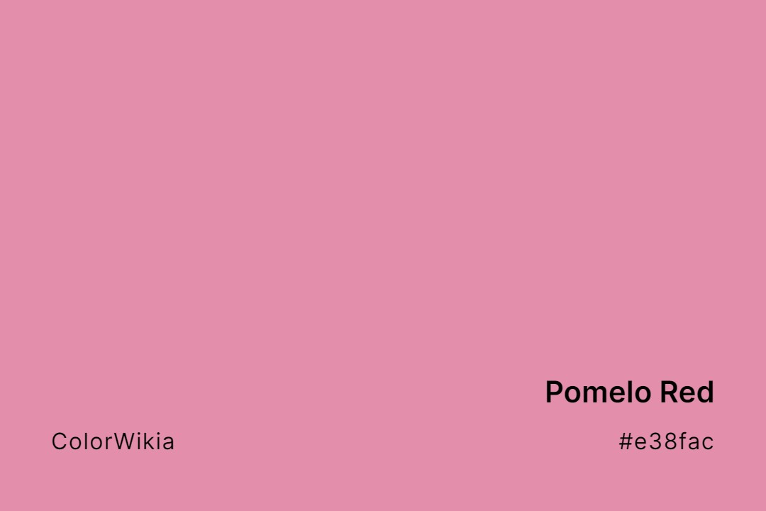 Pomelo Red Color – #e38fac: Codes and Complete Breakdown