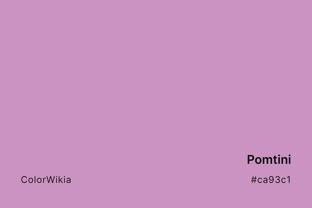 Pomtini Color – #ca93c1: Codes and Complete Breakdown