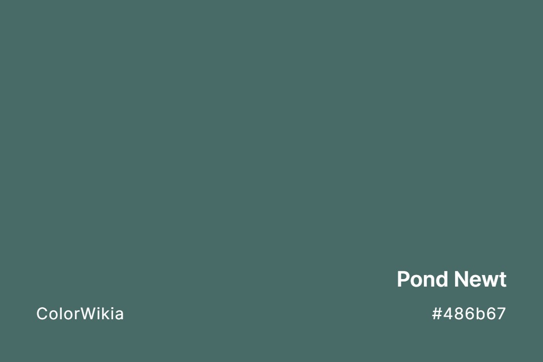 pond newt color 486b67