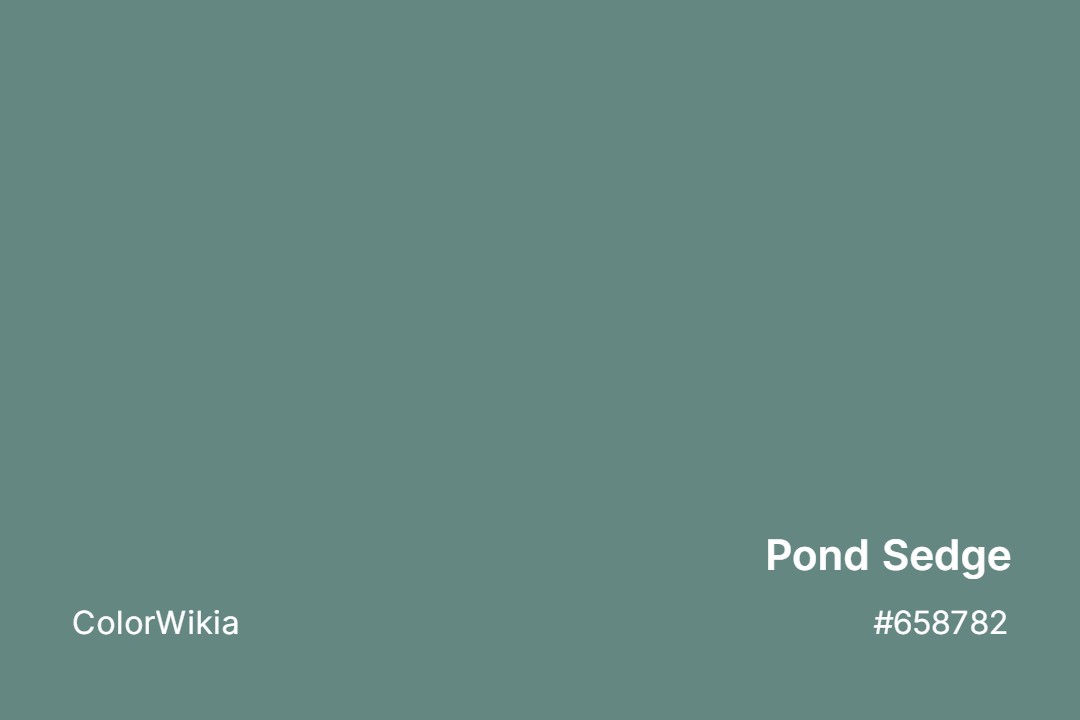 pond sedge color 658782