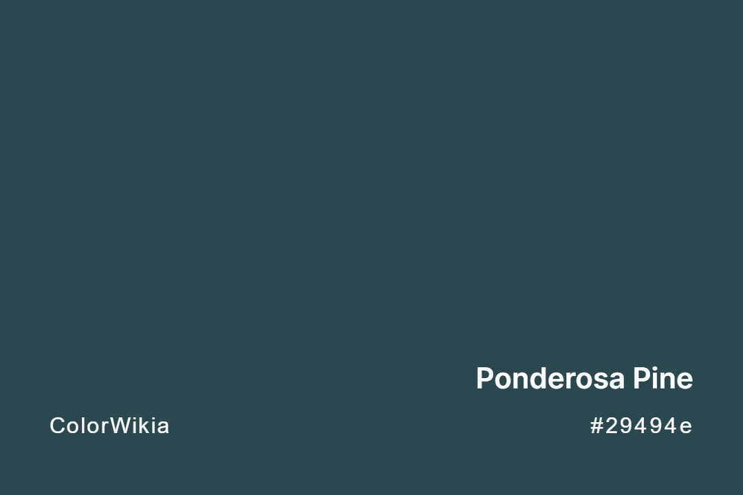 ponderosa pine color 29494e