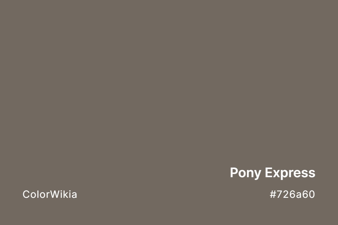 pony express color 726a60