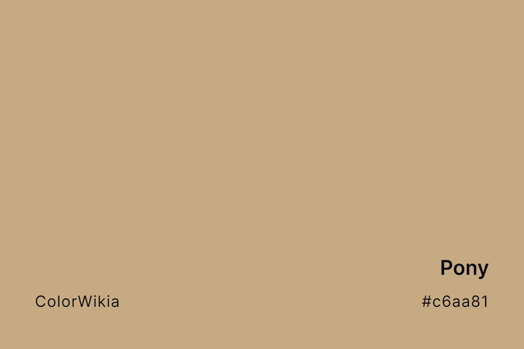 pony color c6aa81