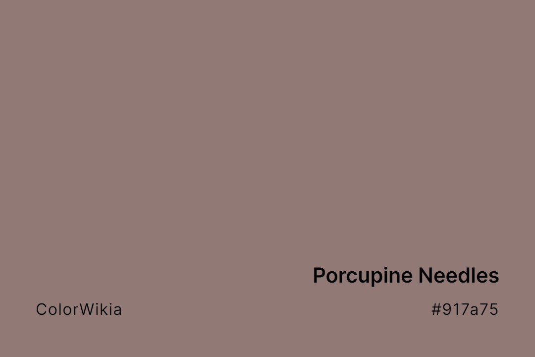 porcupine needles color 917a75