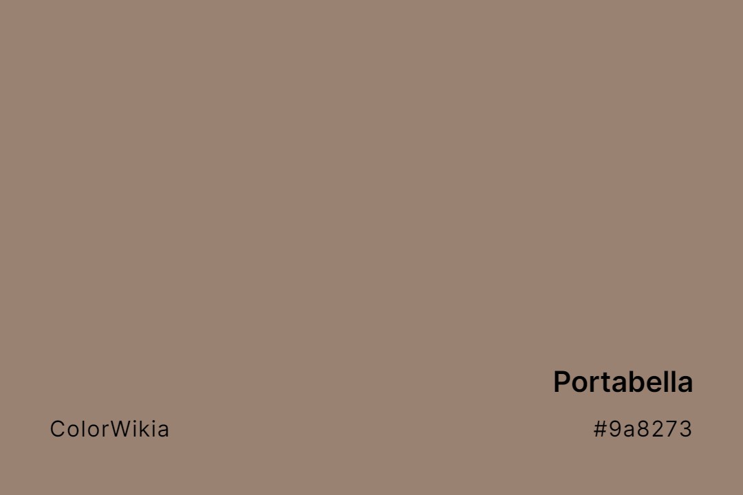 Portabella Color – #9a8273: Codes and Complete Breakdown