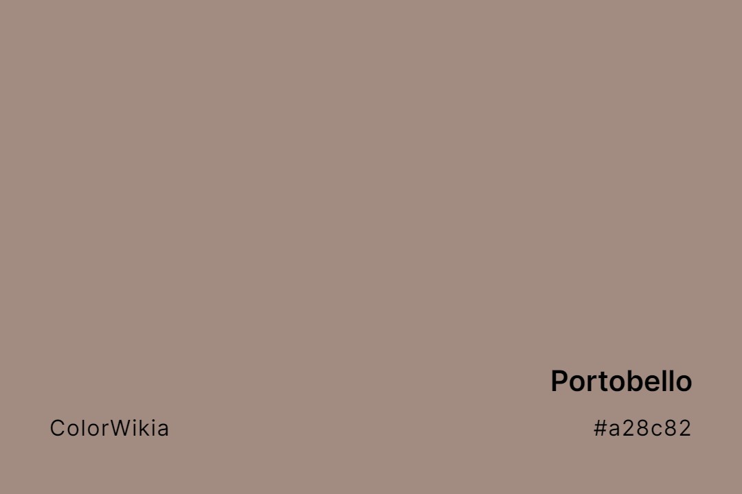 Portobello Color – #a28c82: Codes and Complete Breakdown