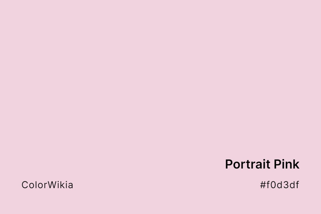 Portrait Pink Color – #f0d3df: Codes and Complete Breakdown