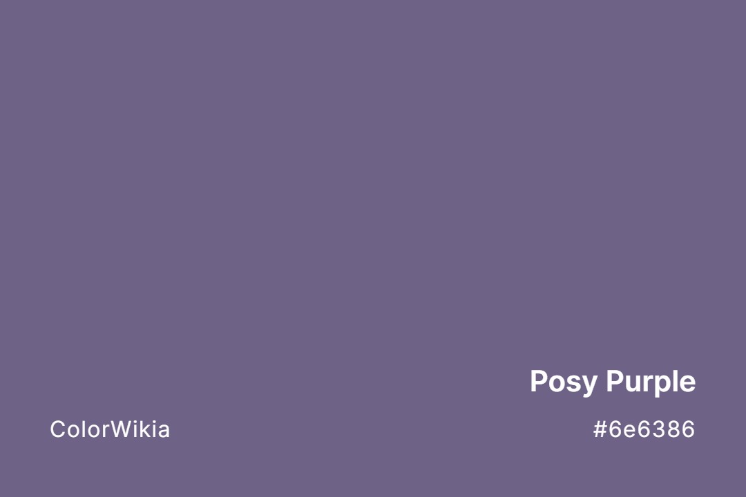 posy purple color 6e6386