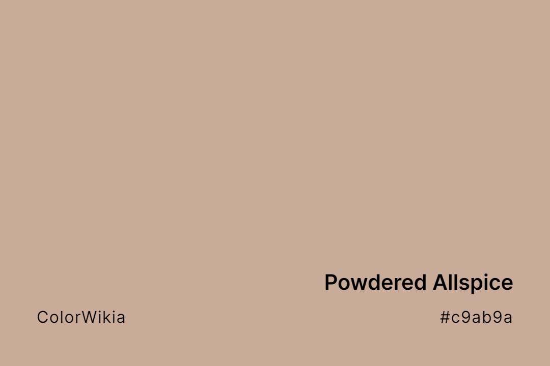 Powdered Allspice Color – #c9ab9a: Codes and Complete Breakdown