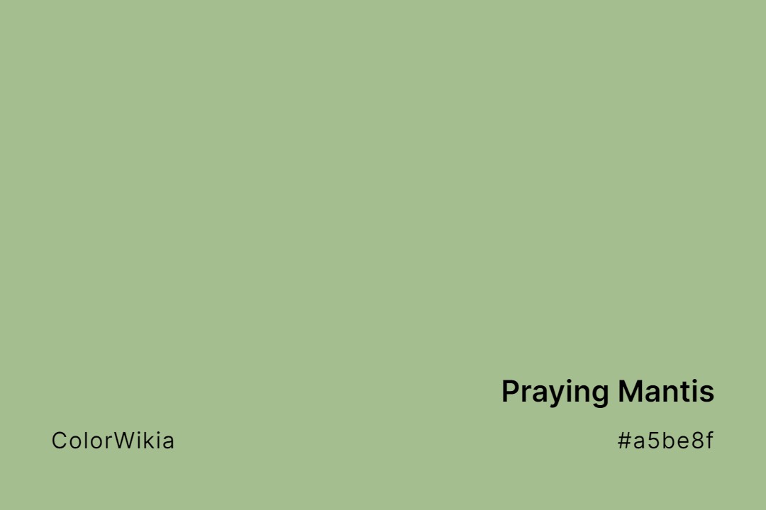 Praying Mantis Color – #a5be8f: Codes and Complete Breakdown
