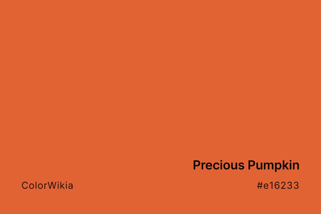 Precious Pumpkin Color – #e16233: Codes and Complete Breakdown