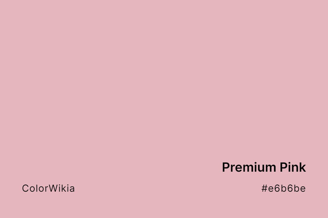 Premium Pink Color – #e6b6be: Codes and Complete Breakdown
