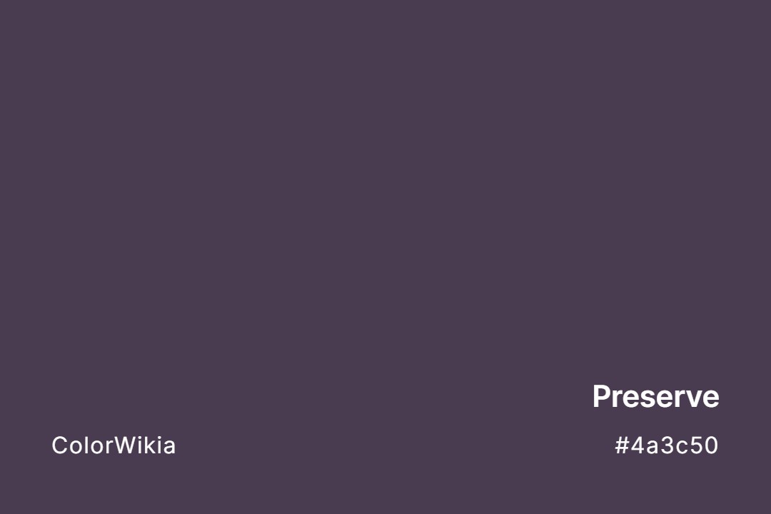 Preserve Color – #4a3c50: Codes and Complete Breakdown