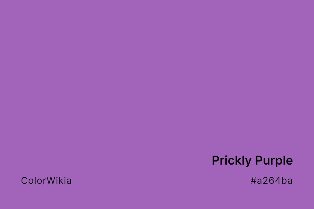 Prickly Purple Color – #a264ba: Codes and Complete Breakdown