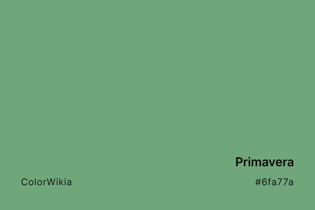 Primavera Color – #6fa77a: Codes and Complete Breakdown