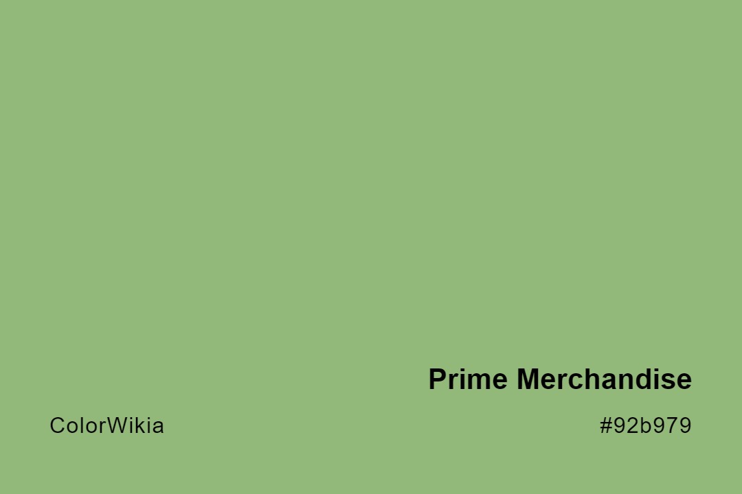 Prime Merchandise Color – #92b979: Codes and Complete Breakdown