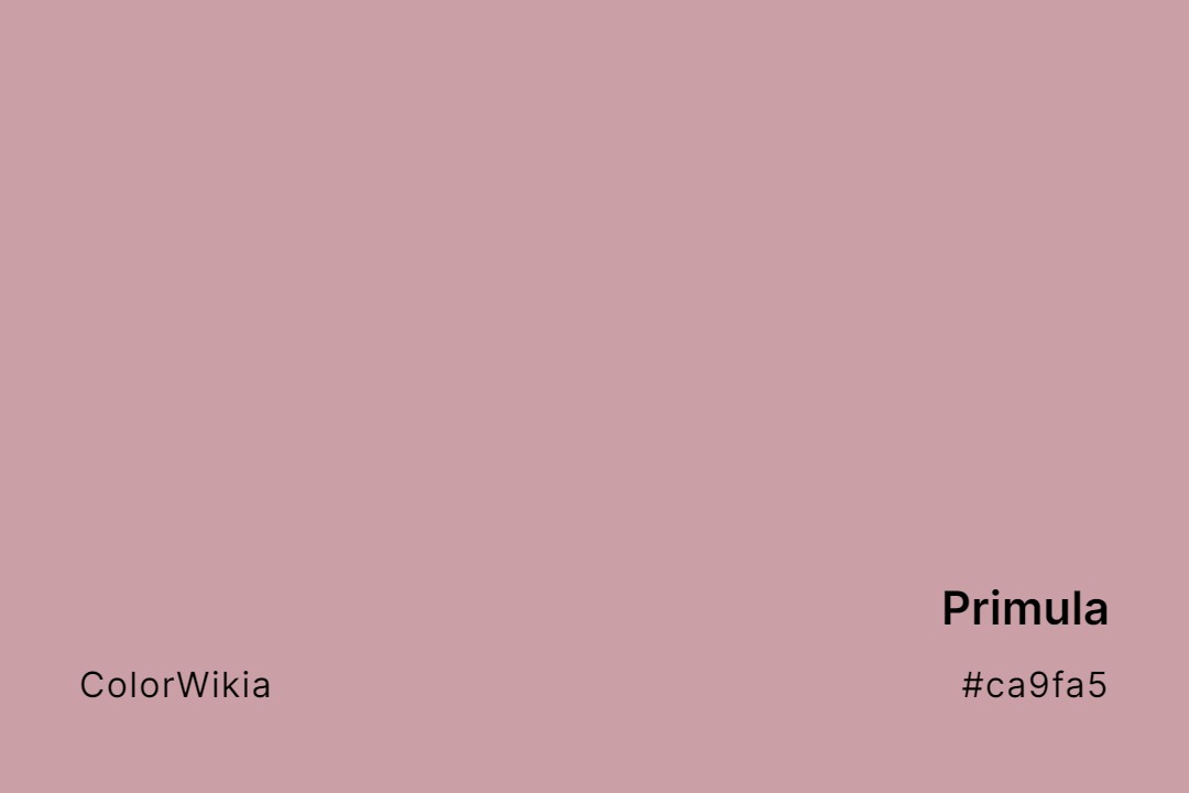 Primula Color – #ca9fa5: Codes and Complete Breakdown