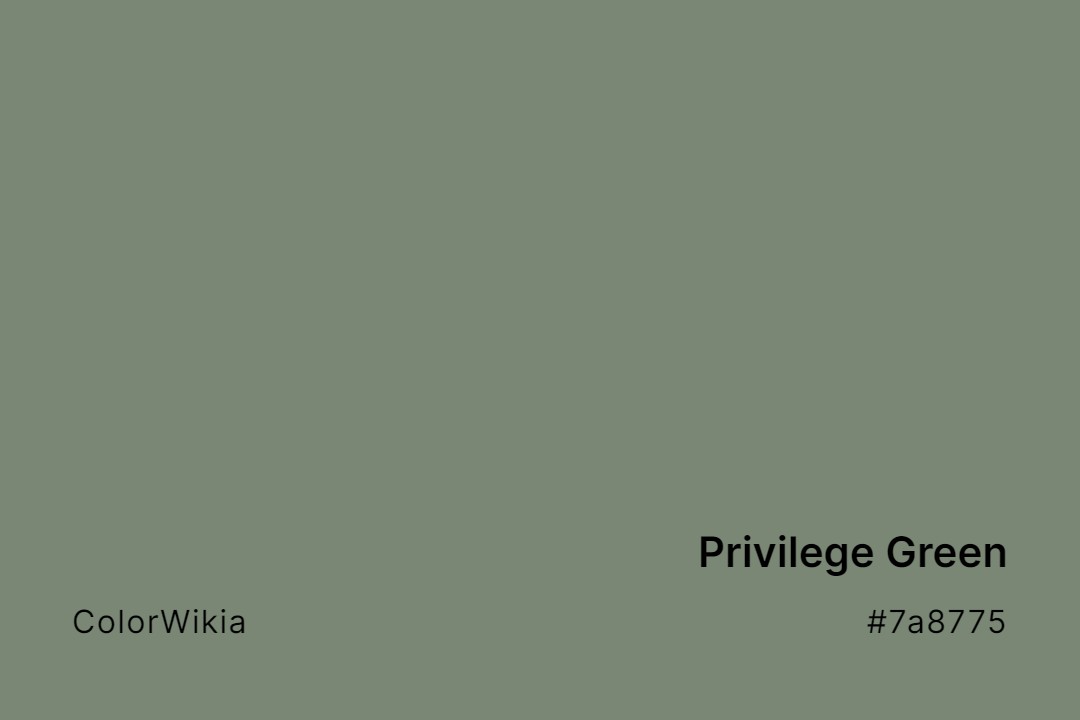Privilege Green Color – #7a8775: Codes and Complete Breakdown