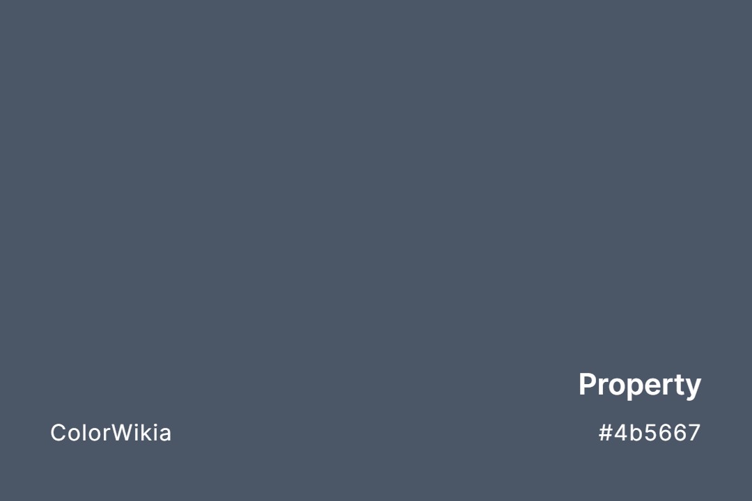Property Color – #4b5667: Codes and Complete Breakdown