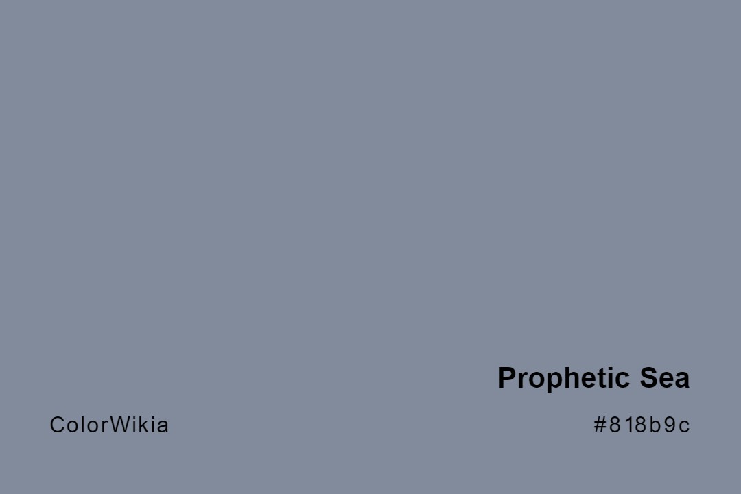 Prophetic Sea Color – #818b9c: Codes and Complete Breakdown
