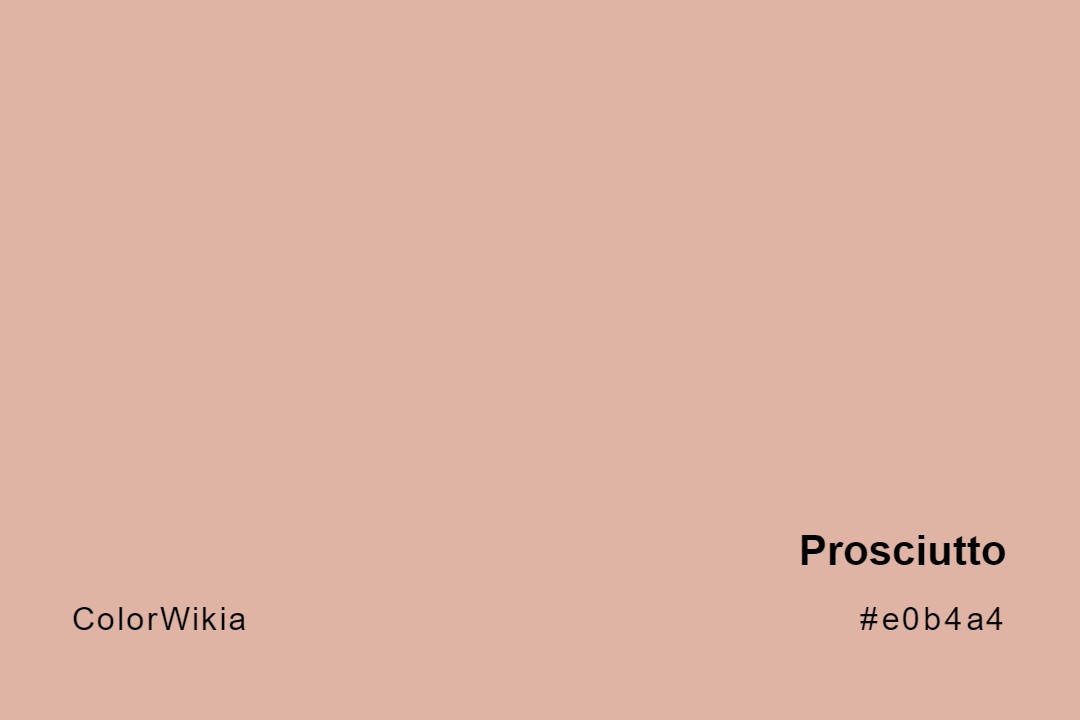Prosciutto Color – #e0b4a4: Codes and Complete Breakdown
