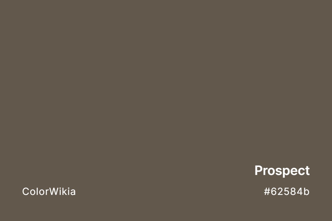 Prospect Color – #62584b: Codes and Complete Breakdown