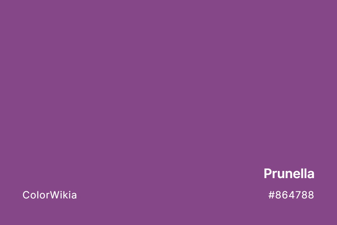 Prunella Color – #864788: Codes and Complete Breakdown