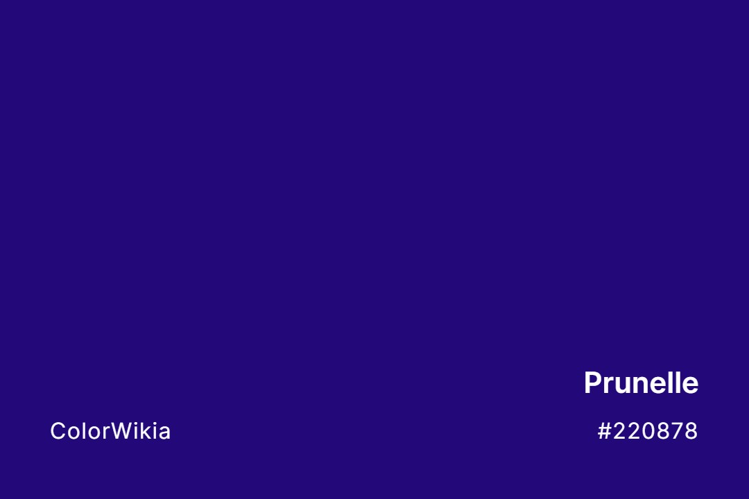 Prunelle Color – #220878: Codes and Complete Breakdown
