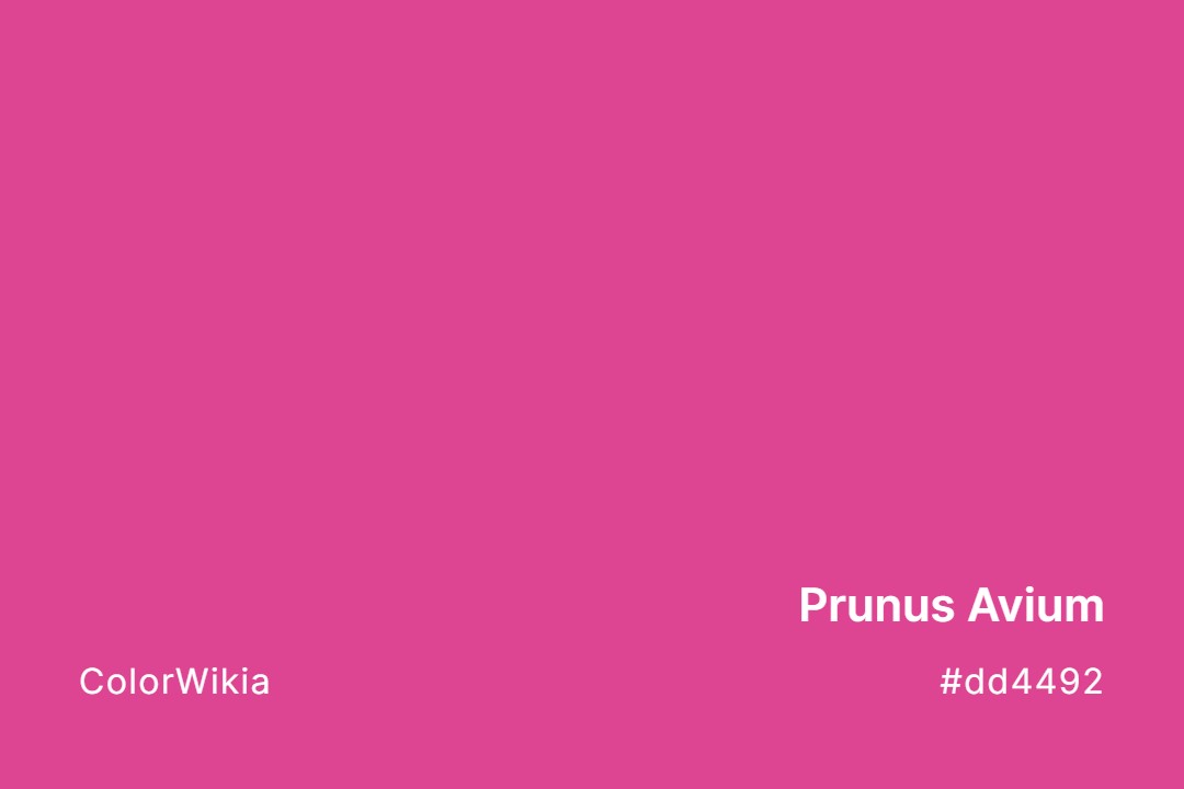 Prunus Avium Color – #dd4492: Codes and Complete Breakdown
