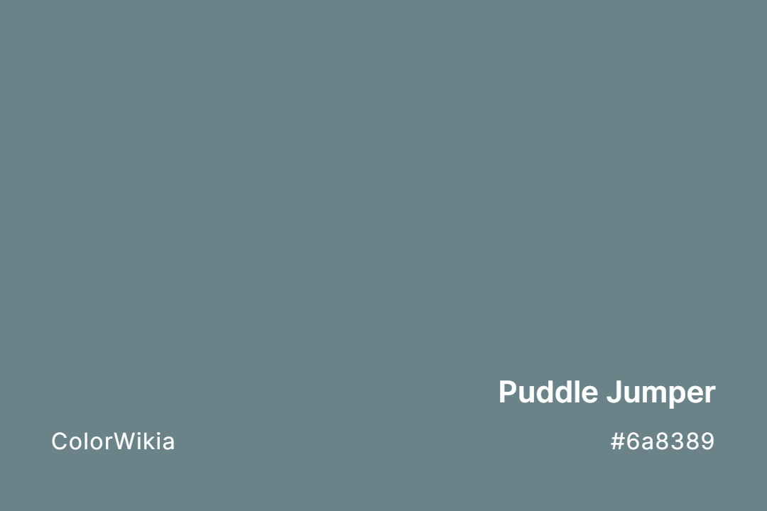 puddle jumper color 6a8389