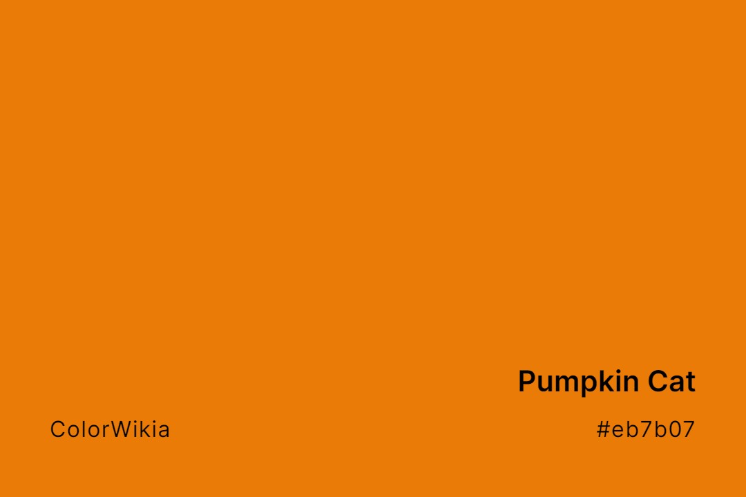 pumpkin cat color eb7b07