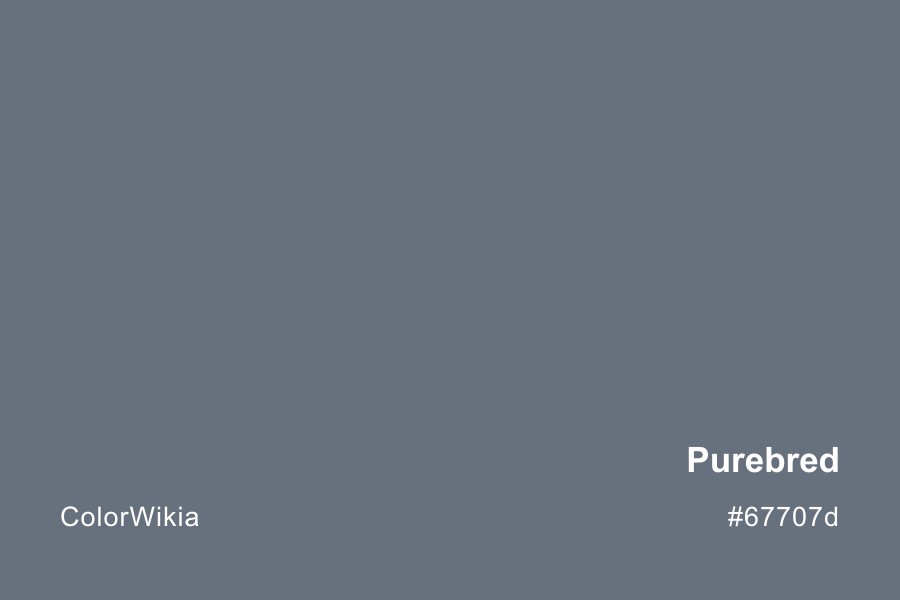Purebred Color – #67707d: Codes and Complete Breakdown