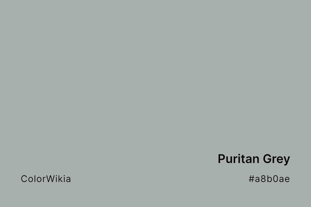 Puritan Grey Color – #a8b0ae: Codes and Complete Breakdown