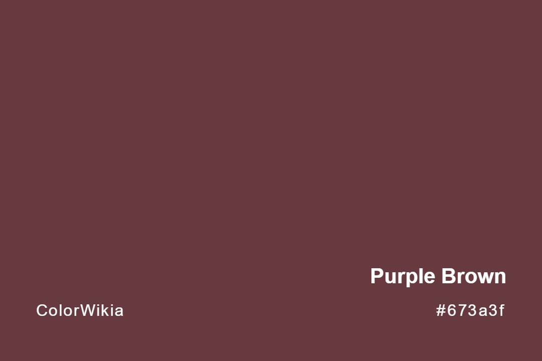Purple Brown Color – #673a3f: Codes and Complete Breakdown