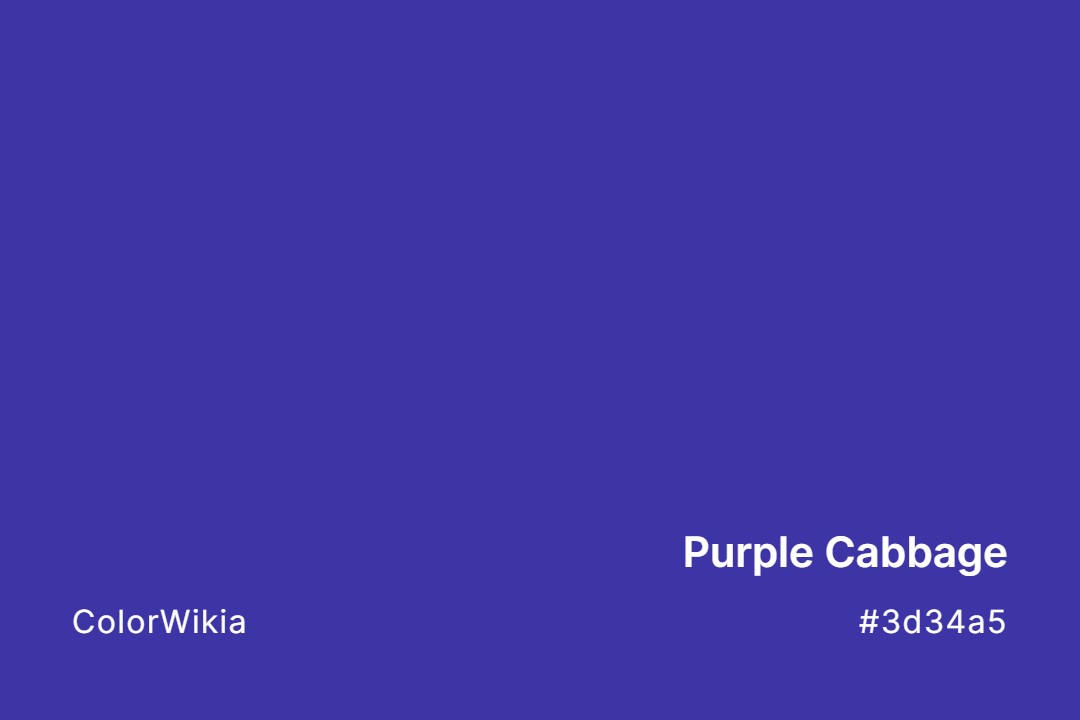 purple cabbage color 3d34a5