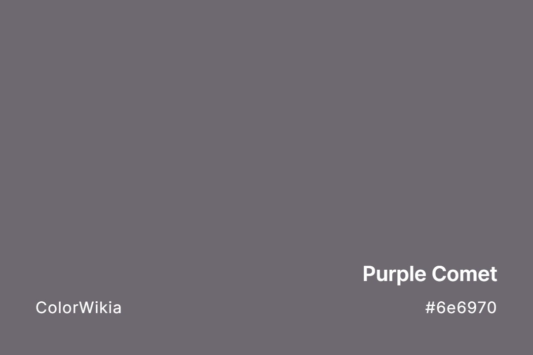 Purple Comet Color – #6e6970: Codes and Complete Breakdown