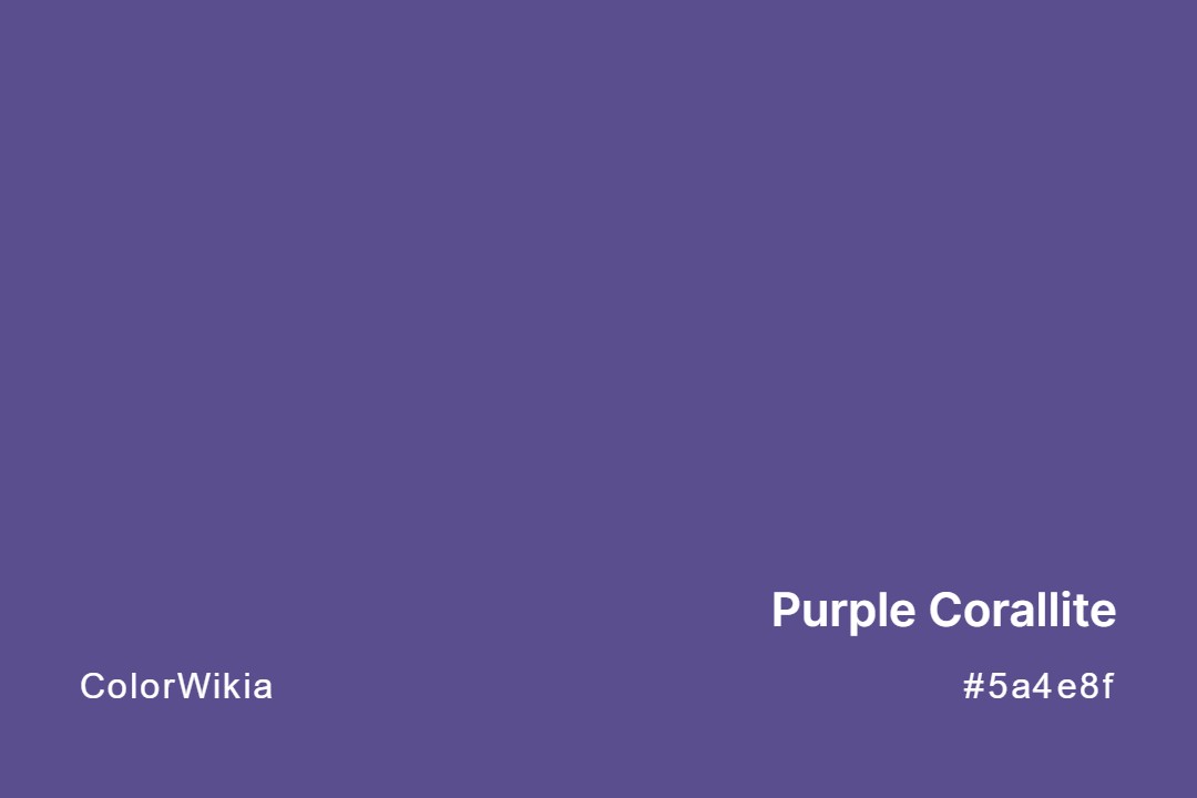 Purple Corallite Color – #5a4e8f: Codes and Complete Breakdown