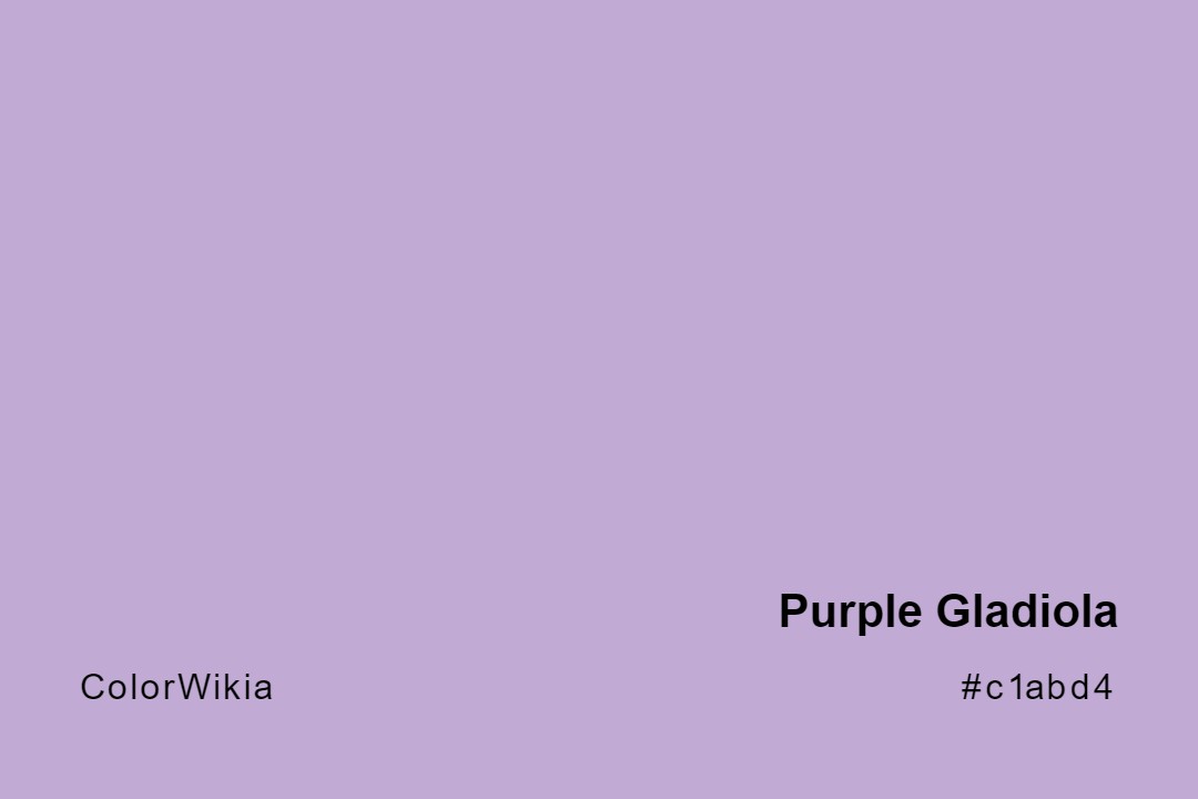 Purple Gladiola Color – #c1abd4: Codes and Complete Breakdown