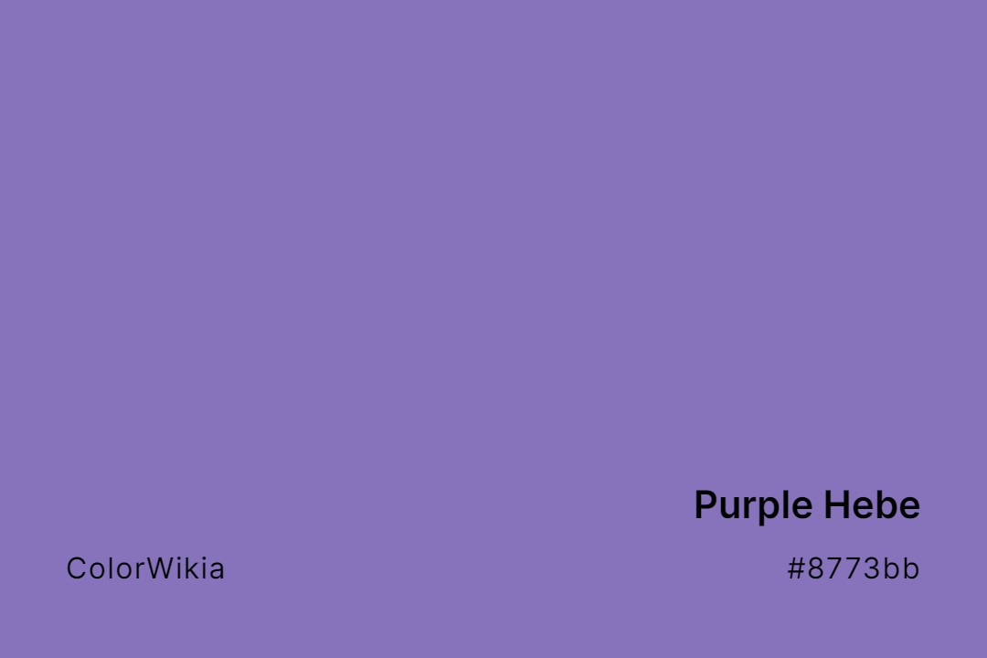 Purple Hebe Color – #8773bb: Codes and Complete Breakdown