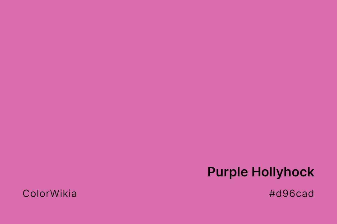 Purple Hollyhock Color – #d96cad: Codes and Complete Breakdown