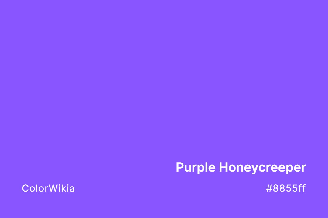 Purple Honeycreeper Color – #8855ff: Codes and Complete Breakdown