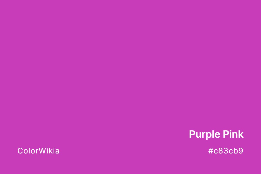 Purple Pink Color – #c83cb9: Codes and Complete Breakdown