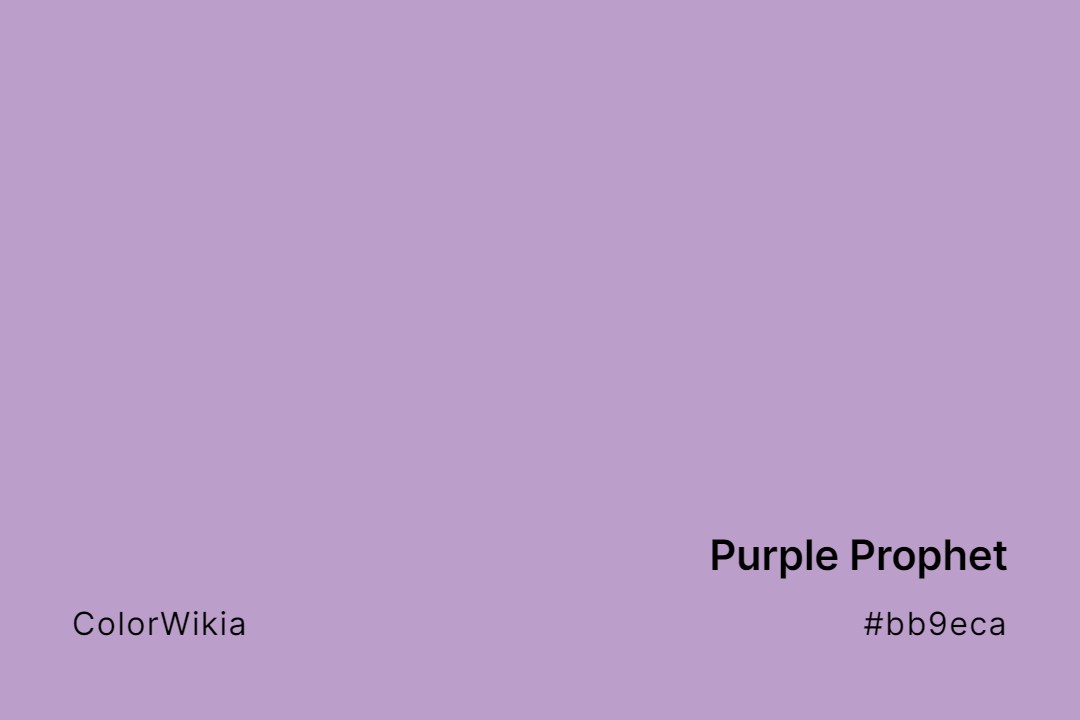 Purple Prophet Color – #bb9eca: Codes and Complete Breakdown