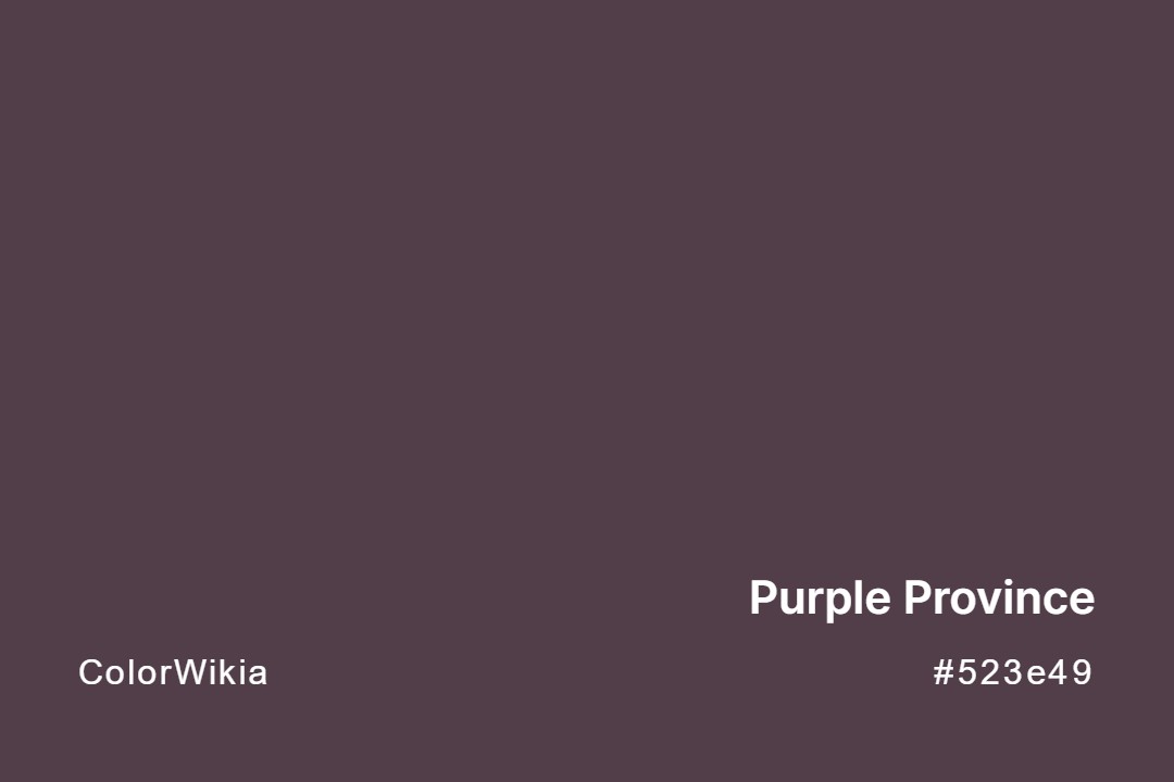 Purple Province Color – #523e49: Codes and Complete Breakdown