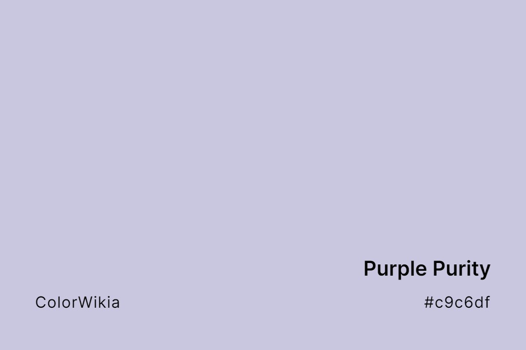 Purple Purity Color – #c9c6df: Codes and Complete Breakdown